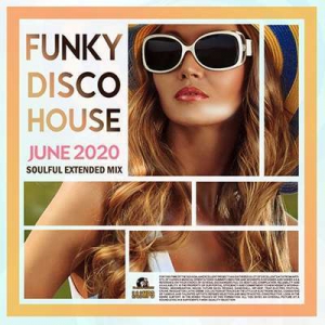 VA - Funky Disco House: Soulful Extended Mix 