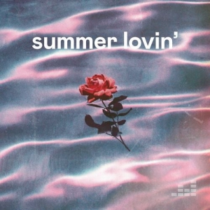 VA - Summer Lovin'