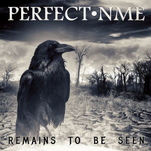 Perfect Nme - Remains to Be Seen