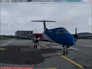 Microsoft Flight Simulator 2004: A Century of Flight 