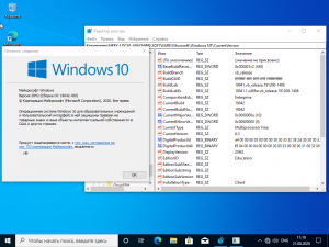 Microsoft Windows 10 Insider Pre-release, Version 20H2, Build 10.0.19042.450 (esd) [Ru]