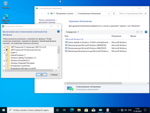 Microsoft Windows 10 Insider Pre-release, Version 20H2, Build 10.0.19042.450 [Ru]