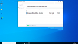 Windows 10 Pro 20H2 x64 + Office 2019 by LaMonstre 23.01.2021 [Ru]