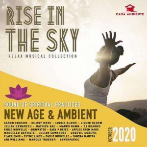  VA - Rise In The Sky