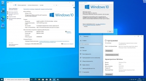 Microsoft® Windows® 10 x86-x64 Ru 20H2 8in2 Orig-Upd 10.2020 by OVGorskiy 2DVD
