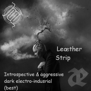 Le&#230;ther Strip - Introspective & Aggressive Dark Electro-Industrial (The best)