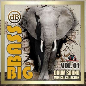 VA - Big Bass: Drum Sound Musical Collection Vol.01
