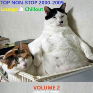  VA - TOP Non-Stop 2000-2009 - Lounge & Chillout. Volume 2