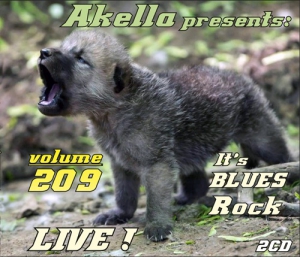 VA - Akella Presents - vol.209 - Blues-Rock Live! (2CD)