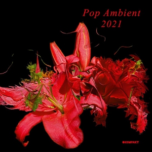 VA - Pop Ambient 2021