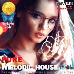 VA - pure Melodic house