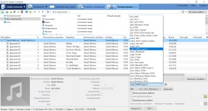 EZ CD Audio Converter 9.2.1.1 (x64) Portable by Spirit Summer [Multi/Ru]