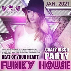 VA - Funky House: Crazy Disco Party