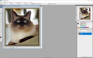 Adobe Photoshop CS3 10.0 Portable [Ru]