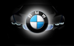 BMW E-Sys VMware [En]