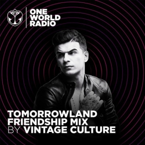 Vintage Culture - Tomorrowland Friendship Mix (2021-05-06)