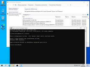 Windows 10 Home 21H1 19043.1052 x64 ru by SanLex (2021.06.24) [Ru]