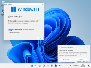 Windows 11 Dev OS x64 Build 21996.1.210529-1541 [En]