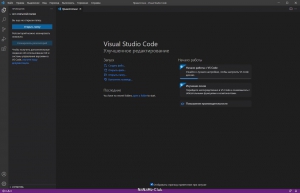 Visual Studio Code 1.68.0 + Автономная версия (standalone) [Multi/Ru]
