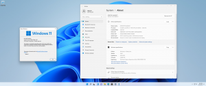 Microsoft Windows 11 [10.0.22000.2416], Version 21H2 (Updated September 2023) - Оригинальные образы от Microsoft MSDN [En]