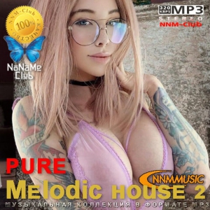 VA - pure Melodic house 2