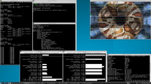 LiveUSB 1100MB  DogLinux Debian 11 Bullseye 2021.09.16 [x86, amd64] 1xDVD