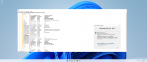 Windows Server vNext LTSC Preview - Build 22463.1000 -    Microsoft [Ru/En]