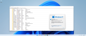 Microsoft Windows 11 [10.0.22000.194] -    Microsoft MSDN [Ru]