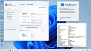 Microsoft Windows 11 Professional VL x64 21H2 RU by OVGorskiy 08.2022