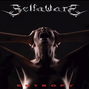 Selfaware - Entropy