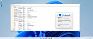 Microsoft Windows 11 [10.0.22631.2428], Version 23H2 -    Microsoft MSDN/VLSC [En]