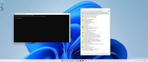 Microsoft Windows 11 [10.0.22631.2428], Version 23H2 -    Microsoft MSDN/VLSC [En]