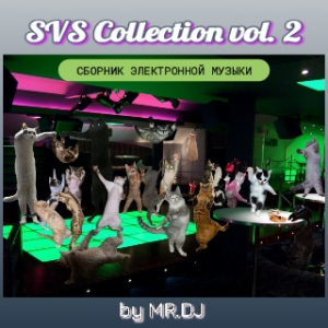 VA - SVS Collection vol.2 by MR.DJ