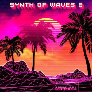 VA - Synth of Waves 6