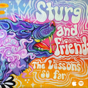 Sturg And Friends - The Lessons So Far