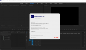 Adobe Premiere Pro 2022 (22.0.0.169) Portable by XpucT [Ru/En]