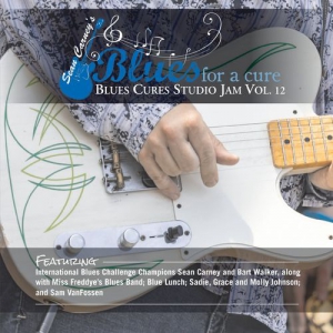 VA - Sean Carney's Blues for a Cure Blues Cures Studio Jam, Vol. 12