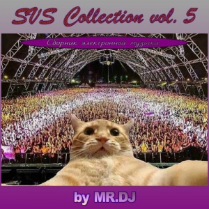 VA - SVS Collection vol. 5 by MR.DJ