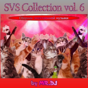 VA - SVS Collection vol. 6 by MR.DJ
