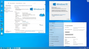 Microsoft Windows 10 Professional VL x86-x64 21H2 RU by OVGorskiy 08.2022