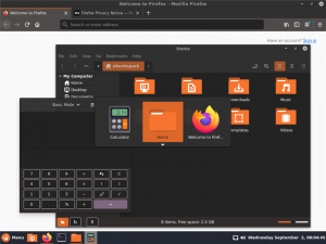Ubuntu*Pack 20.04 Cinnamon [amd64] []