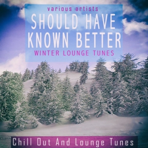 VA - Should Have Known Better - Winter Lounge Tunes