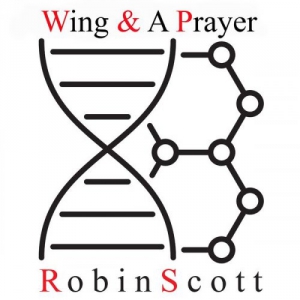 Robin Scott - Wing & A Prayer