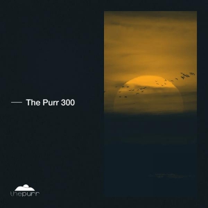 VA - The Purr 300