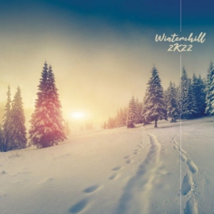 VA - Winterchill 2k22