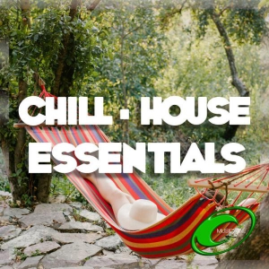 VA - Chill House Essentials 