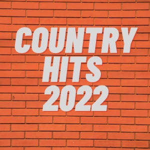 VA - Country Hits 2022