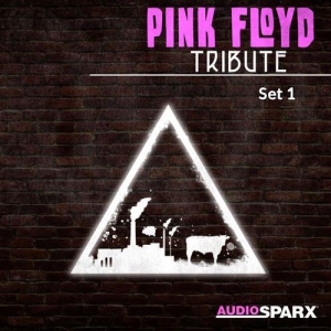  VA - Pink Floyd Tribute