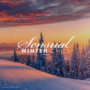 VA - Sensual Winter Chill [Vol.3]