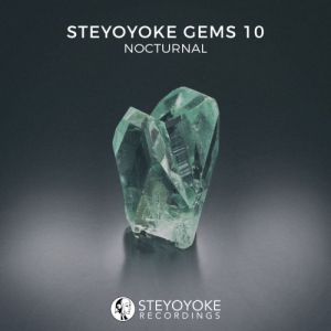 VA - Steyoyoke Gems Nocturnal 10
